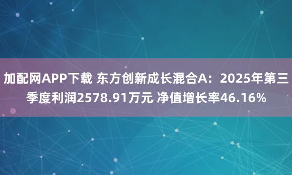 加配网APP下载 东方创新成长混合A：2025年第三季度利润2578.91万元 净值增长率46.16%