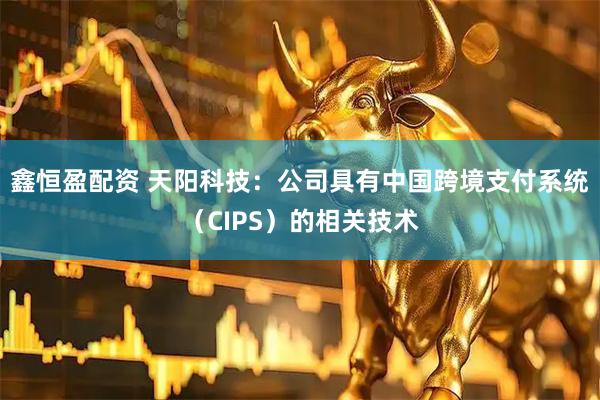 鑫恒盈配资 天阳科技：公司具有中国跨境支付系统（CIPS）的相关技术