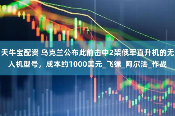 天牛宝配资 乌克兰公布此前击中2架俄军直升机的无人机型号，成本约1000美元_飞镖_阿尔法_作战