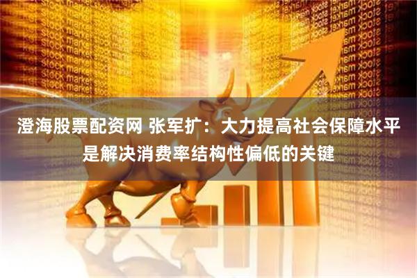 澄海股票配资网 张军扩：大力提高社会保障水平是解决消费率结构性偏低的关键